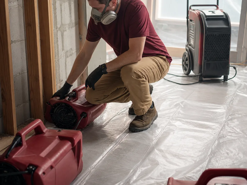 Air movers and a commercial dehumidifier operating in a protected room